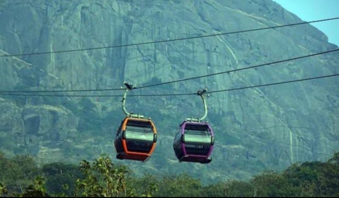 ಆದಾಯದ ಹೆಸರಿನಲ್ಲಿ ಪರಿಸರ ನಾಶ ಅದೆಷ್ಟು ಸರಿ.!? ಕಾಡಿಗೆ ಬೀಳದಿರಲಿ ಕೊಡಲಿ..!!